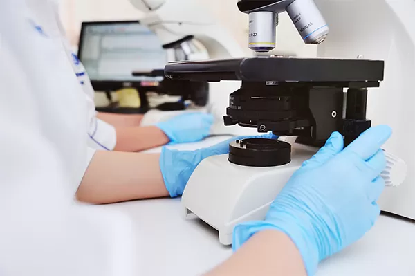 Exames Especializados em Paraíso do Tocantins: Ciência e Rigor em Diagnósticos de Alta Complexidade